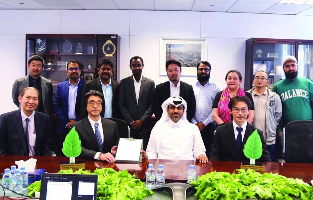 Vegetable Factory research project marks success with first harvest
