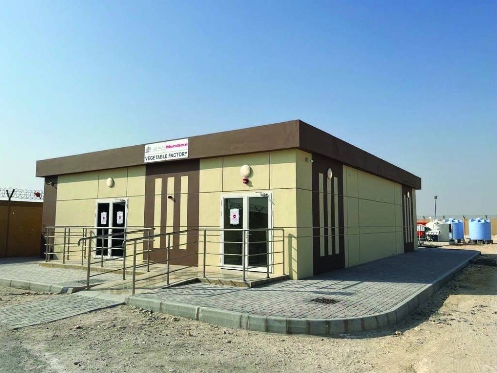 Vegetable Factory research project marks success with first harvest
