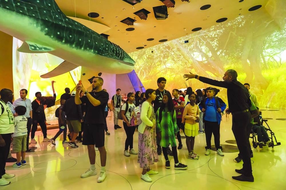 Glimpses from the initiative