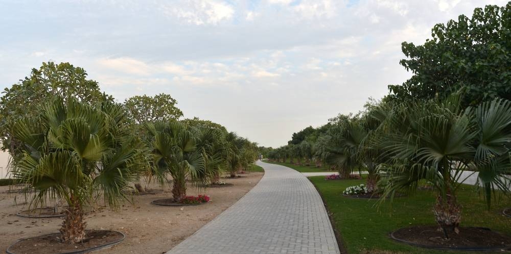 Pictures: Shaji Kayamkulam