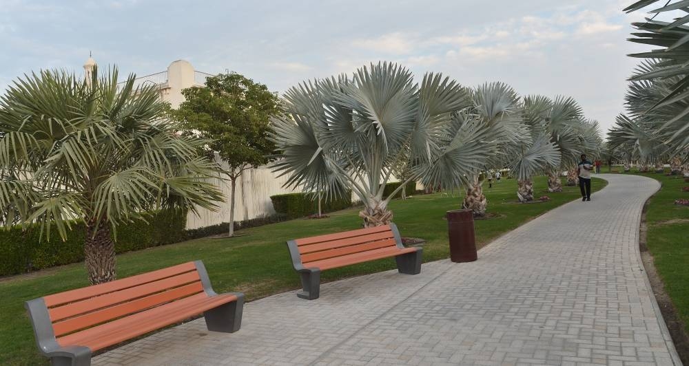 Pictures: Shaji Kayamkulam