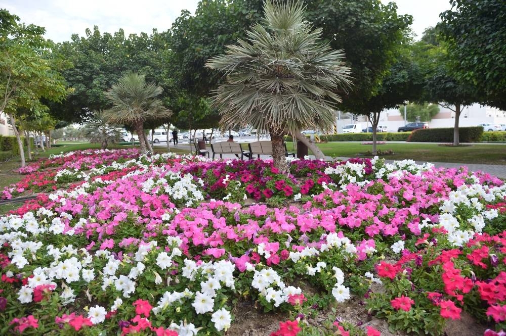 Pictures: Shaji Kayamkulam