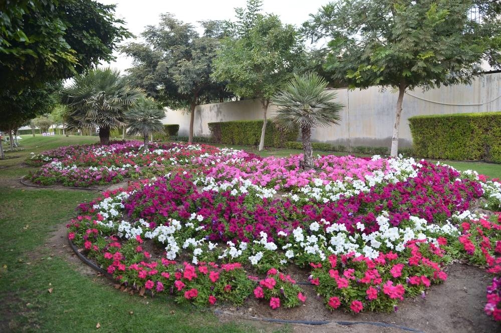 Pictures: Shaji Kayamkulam