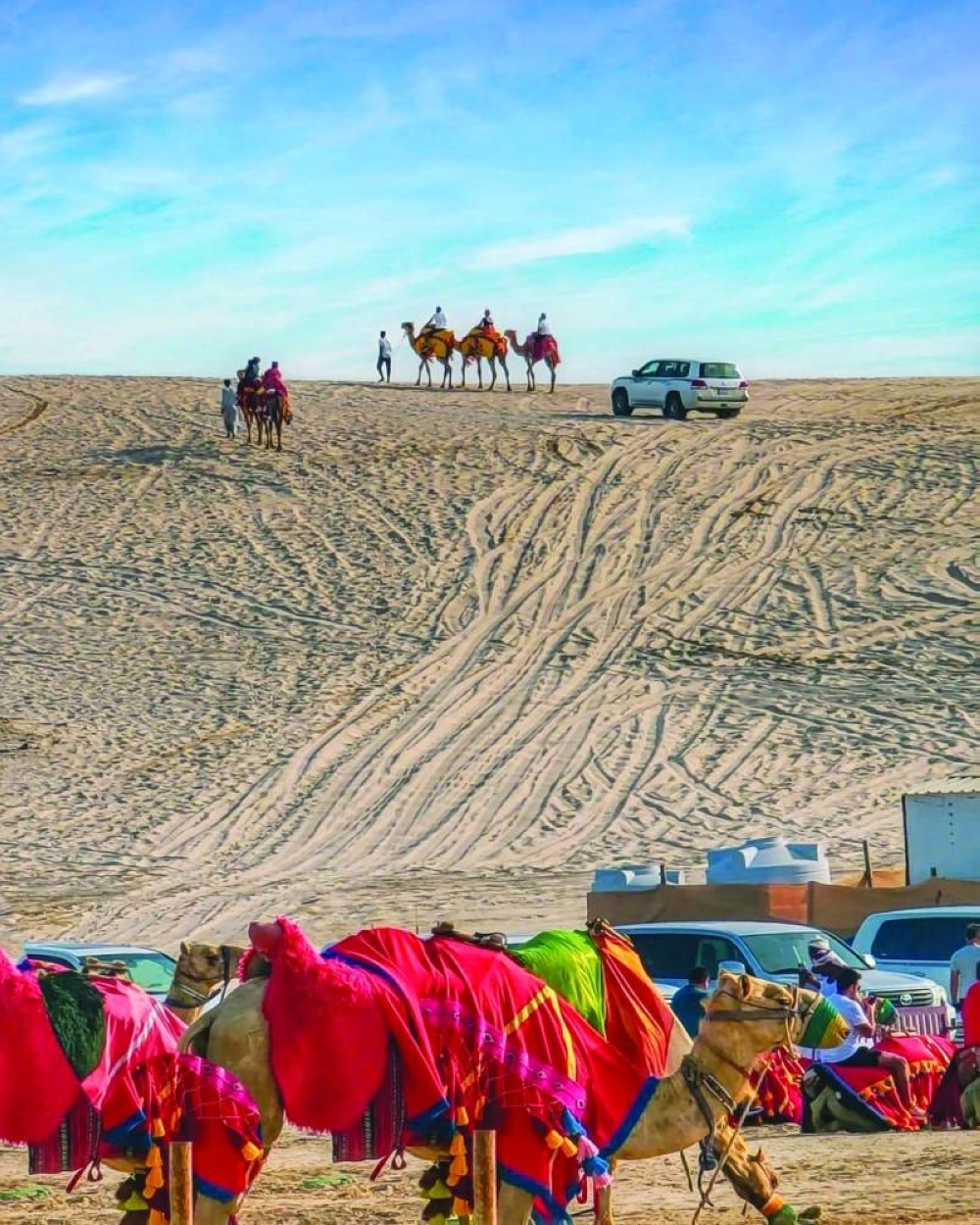 The World Cup showcased Qatar's unique desert landscape.  PICTURE: VisitQatar
