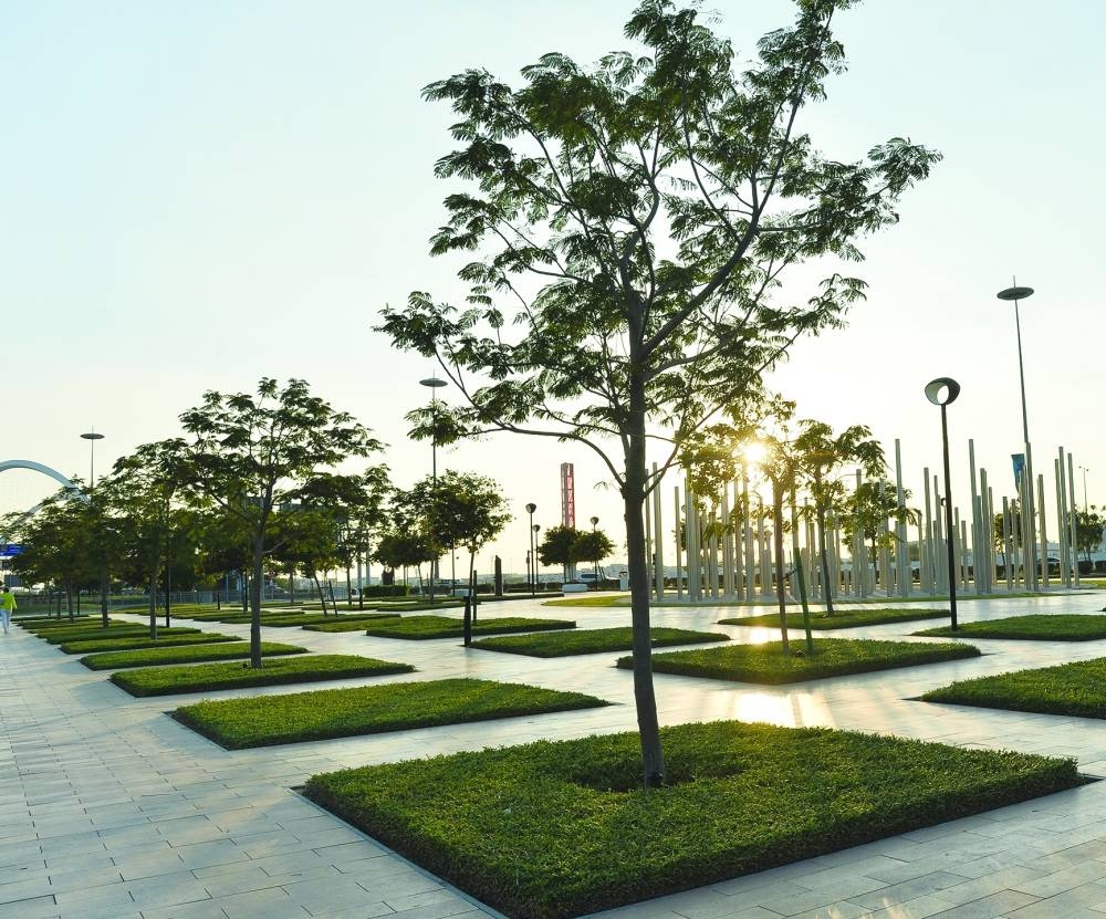 PICTURES: Shaji Kayamkulam