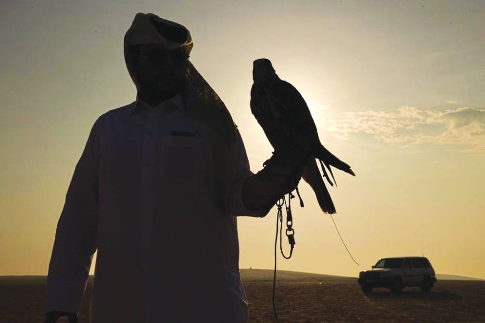 A falconer getting ready at the sunset
