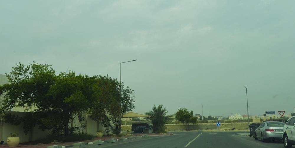 PICTURES: Shaji Kayamkulam