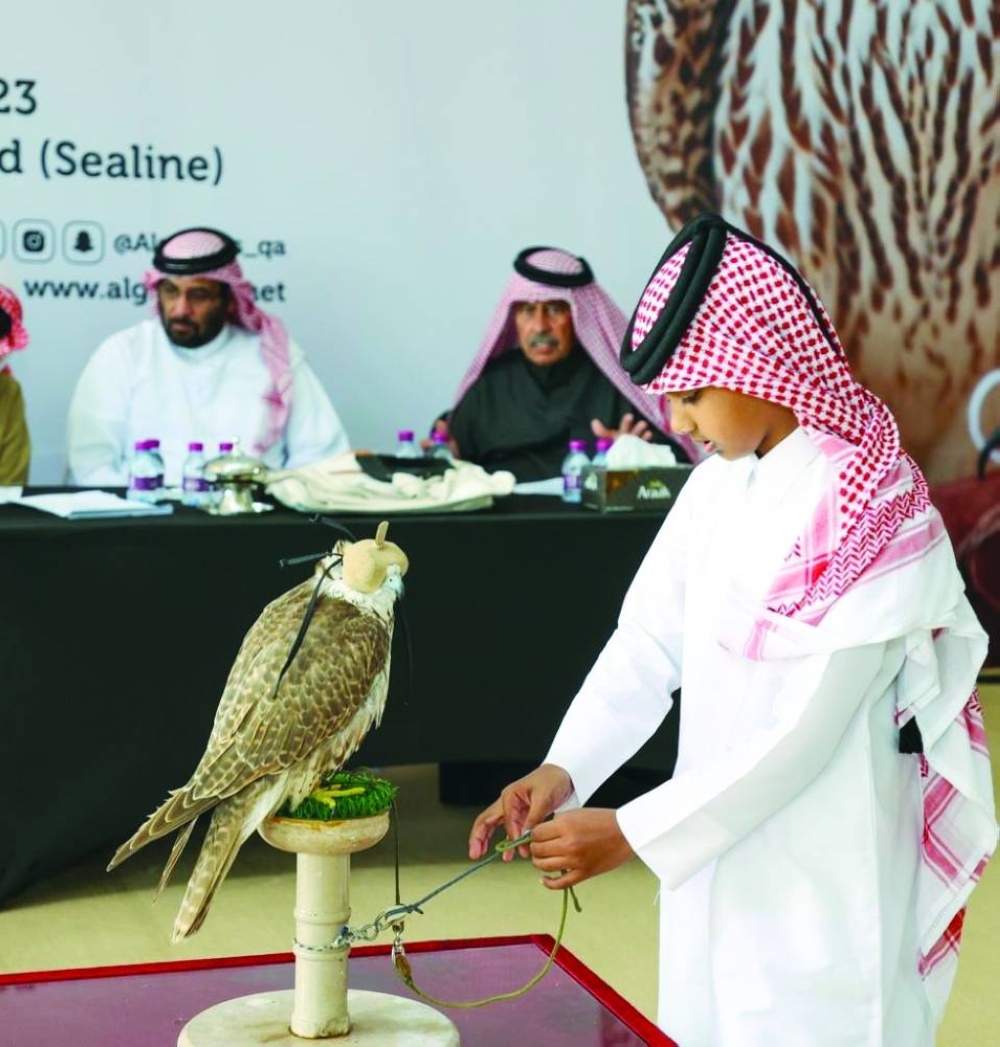 A young falconer and his bird appears before the jury