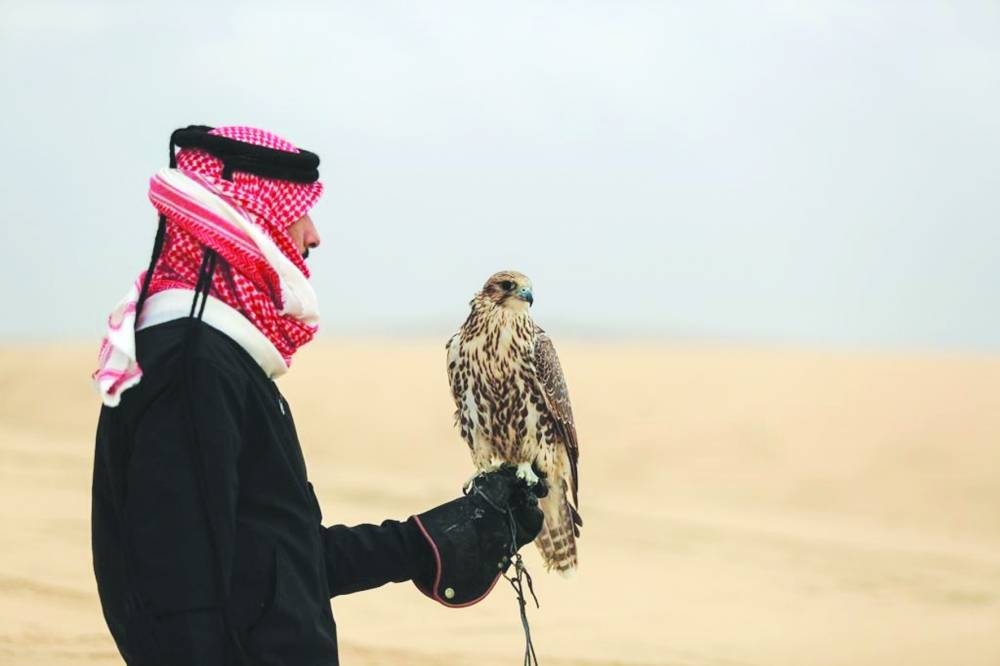 Glimpses from the festival