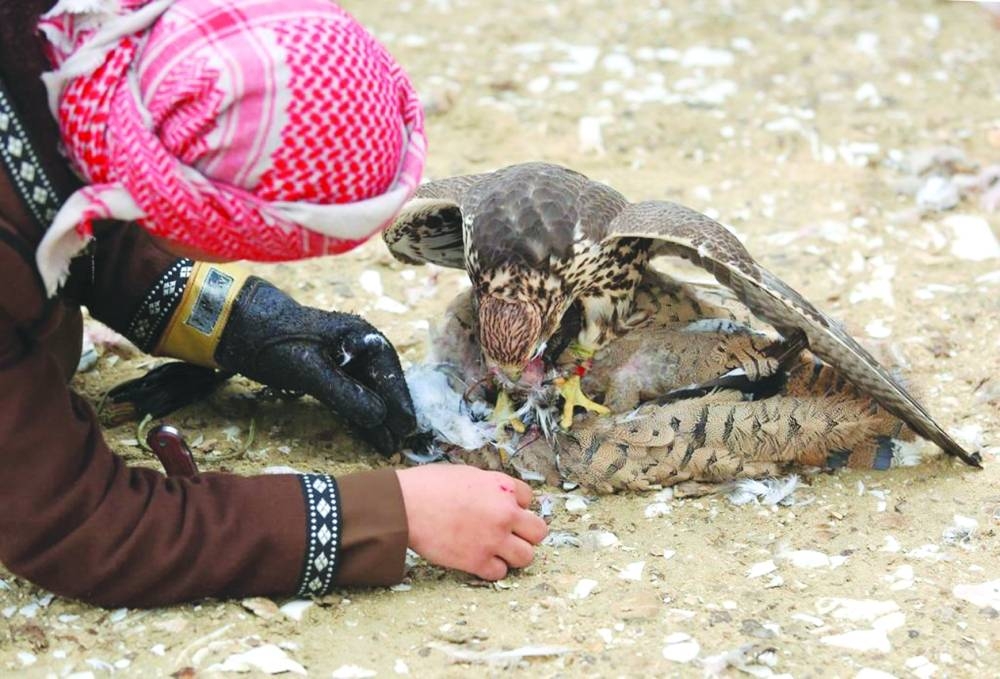 Glimpses from the festival