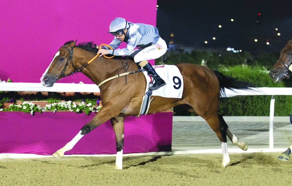 Al Thumama Racing’s X Force, ridden by Tomas Lukasek, gallops towards victory in the Ras Laffan Cup for Thoroughbreds at Qatar Racing and Equestrian Club’s Al Rayyan Park yesterday.