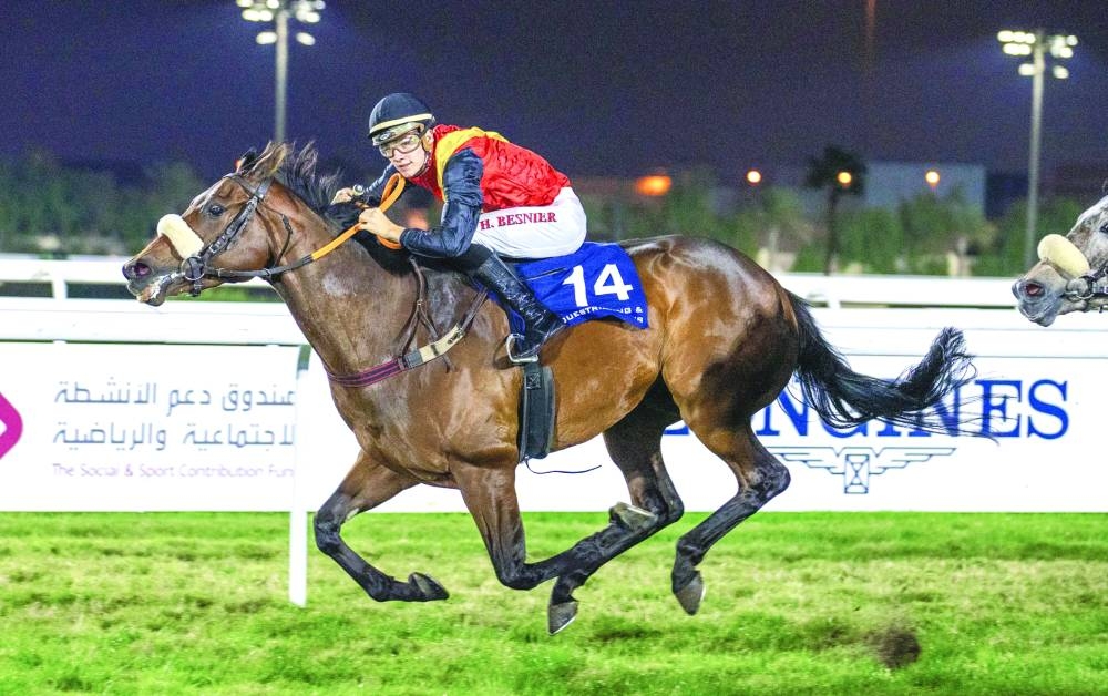 Jockey Hugo Besnier looks on after guiding Sir Min to Al Waab Cup victory at Al Rayyan Racecourse. PICTURES: Juhaim



