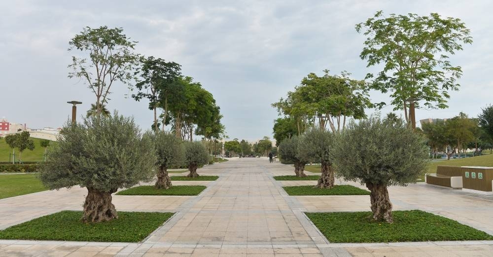 PICTURES: Shaji Kayamkulam