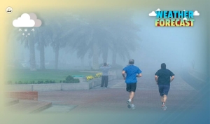 Meteorology Department warns of poor horizontal visibility - Gulf Times