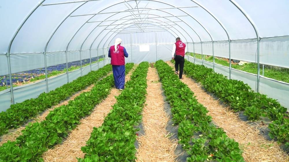 More than 140 wells were dug, and 148 projects implemented in the field of economic empowerment and food security.