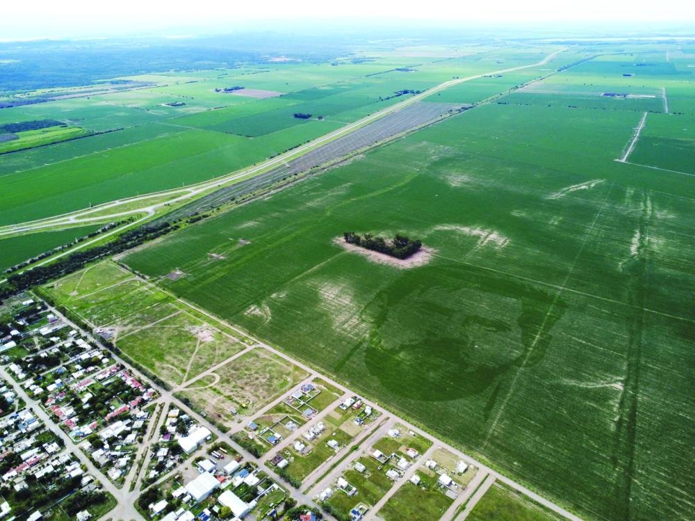 The face of Argentine football star Lionel Messi is depicted in a corn field in Los Condores, on the outskirts of Cordoba, Argentina.