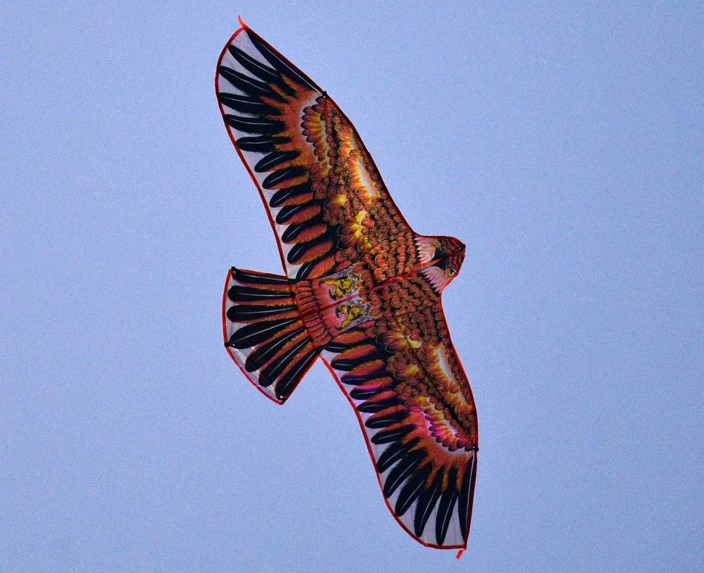 PICTURES: Shaji Kayamkulam and Noushad Thekkayil