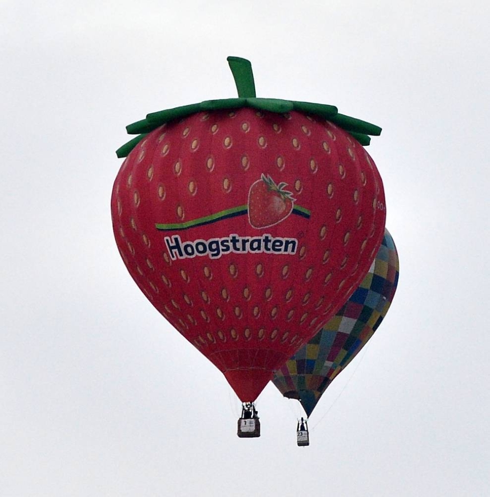 PICTURE: Shaji Kayamkulam