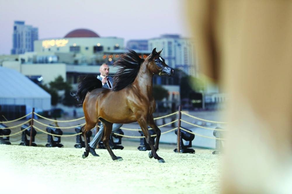 From a previous edition of KIAHF