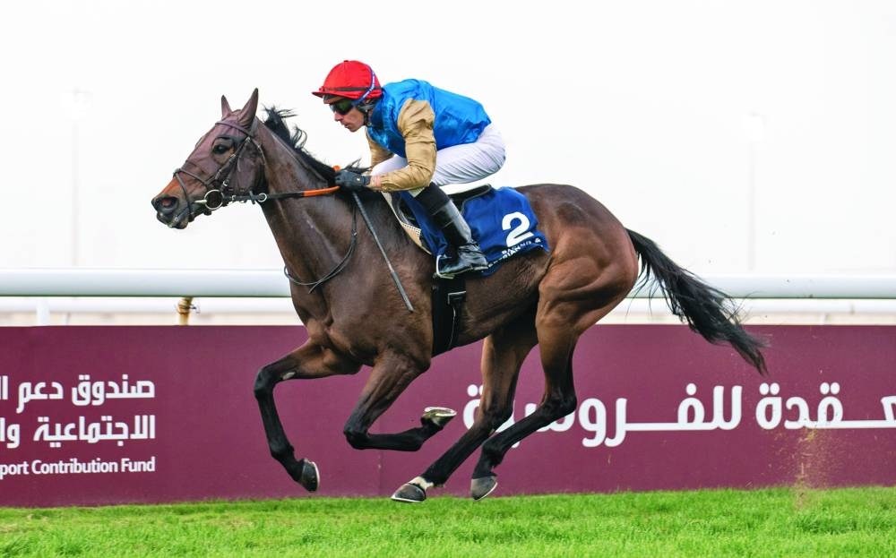 Jockey Ronan Thomas rides Torkia to Al Jumail Cup win at the Al Uqda Complex yesterday.