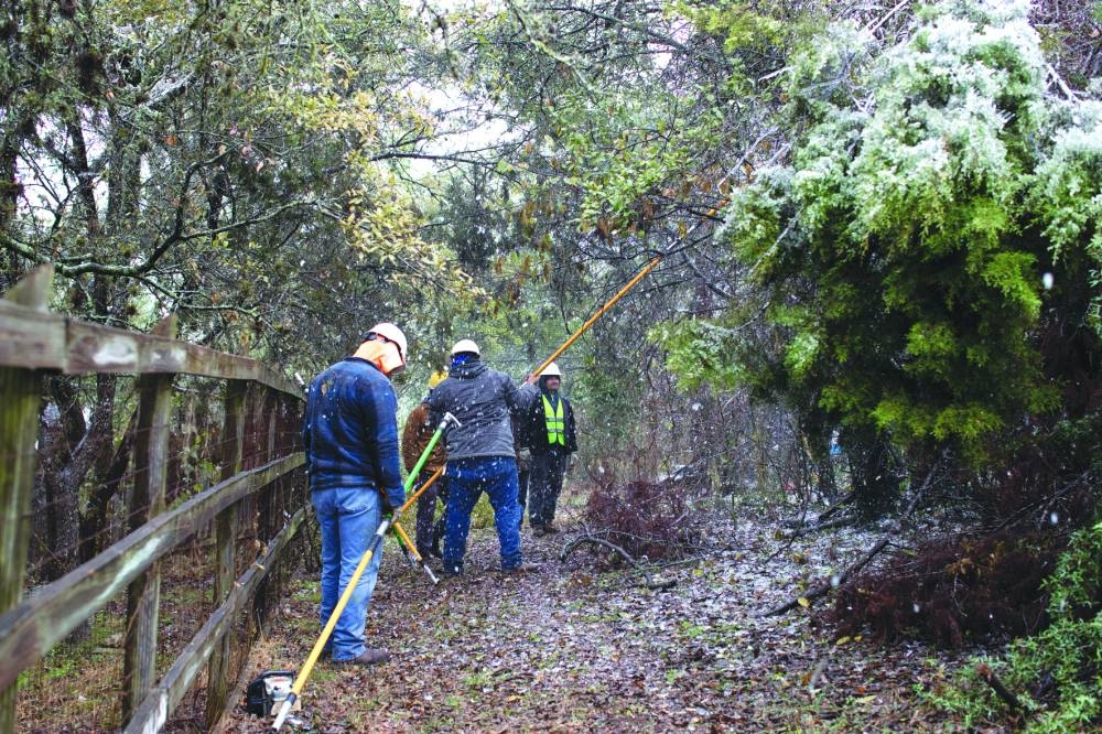 An Arbor Experts crew clears ice-laden branches from power lines after ice storms and freezing rain in the south of Texas left thousands without power and turned roadways into ice rinks, in San Antonio, Texas.