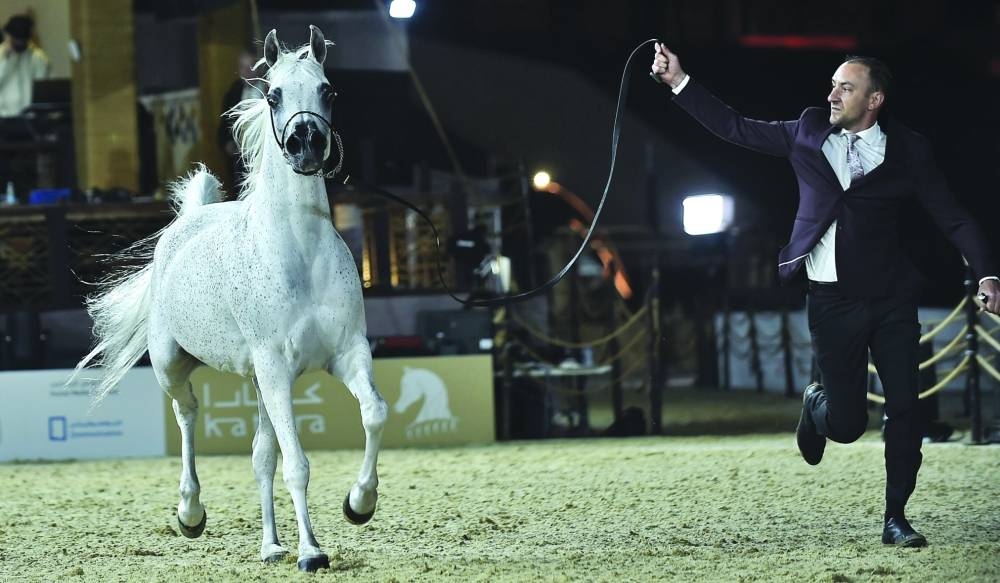 A snapshot from the championship