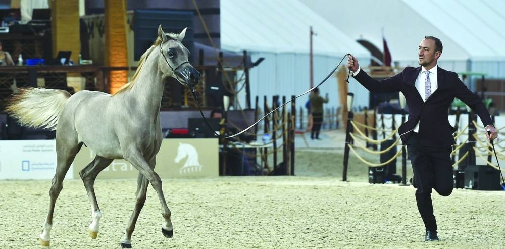 A snapshot from the championship