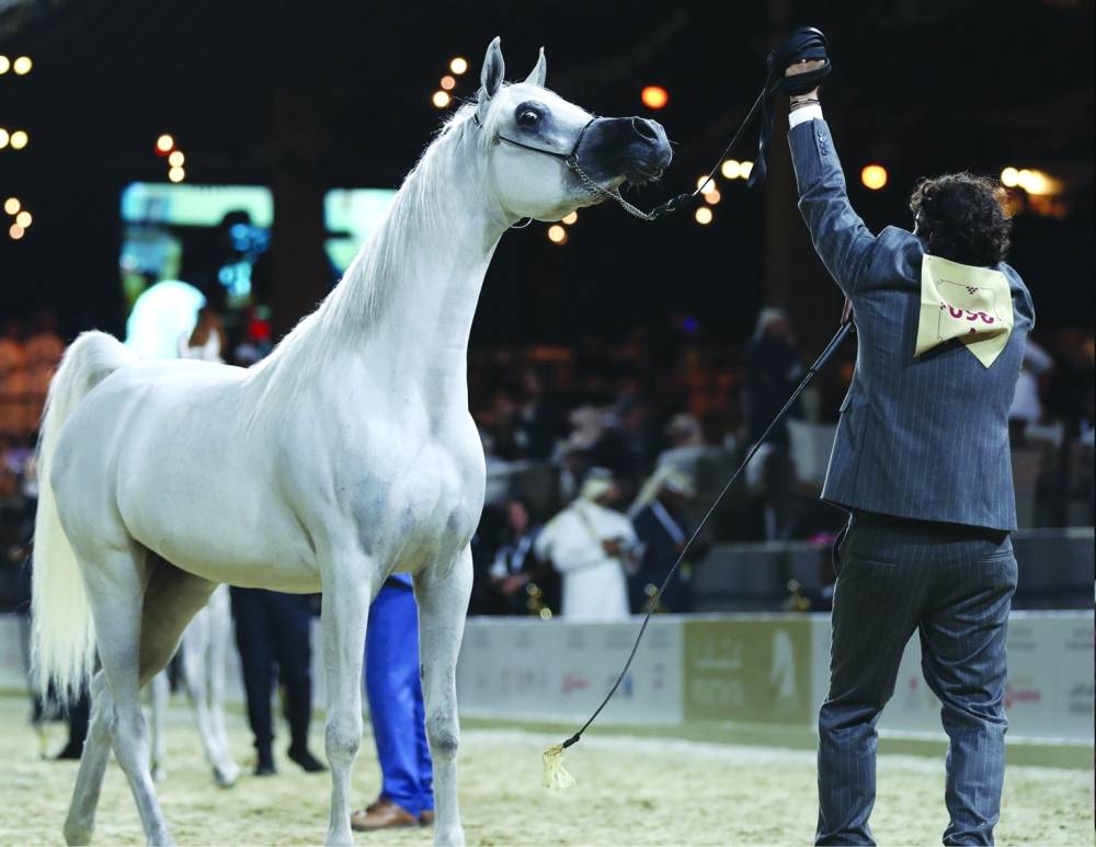 A snapshot from the championship