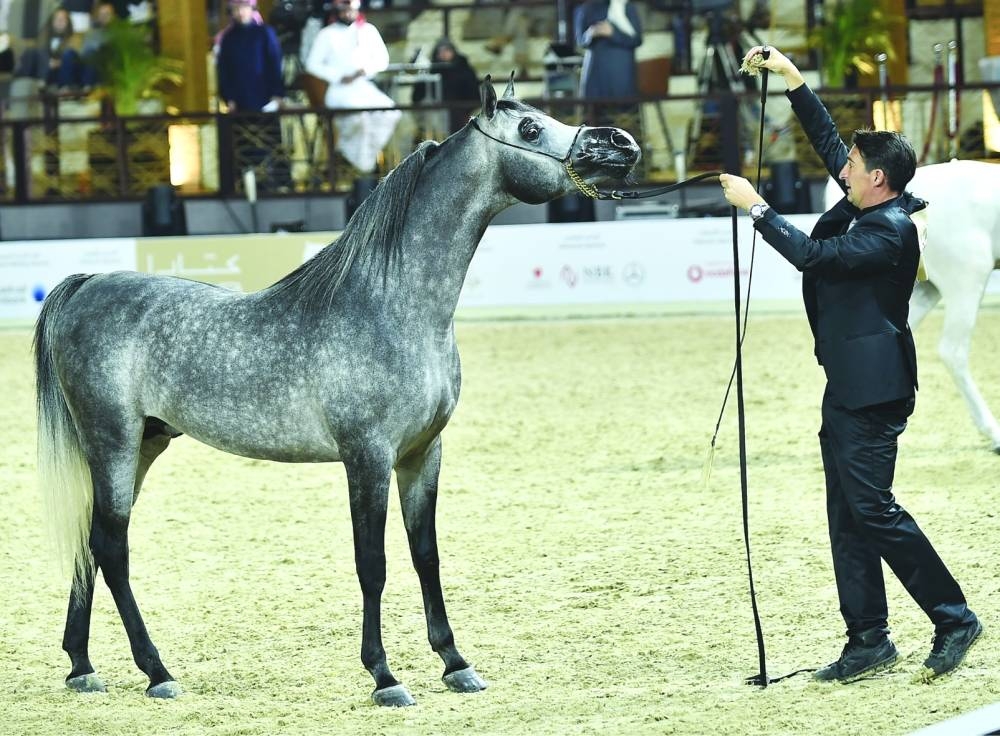 A snapshot from the championship