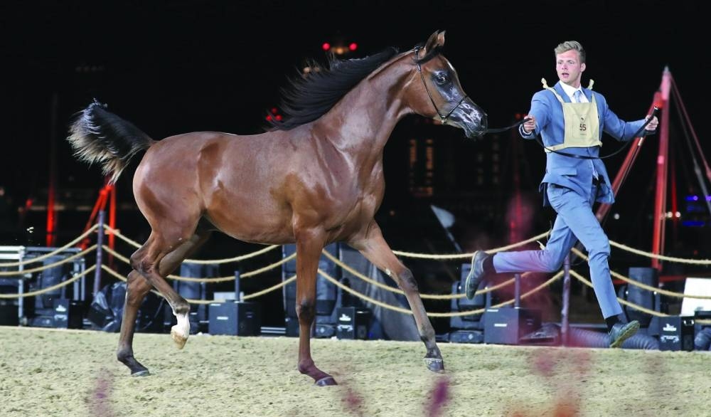  Glimpses from KIAHF-2023 Wednesday