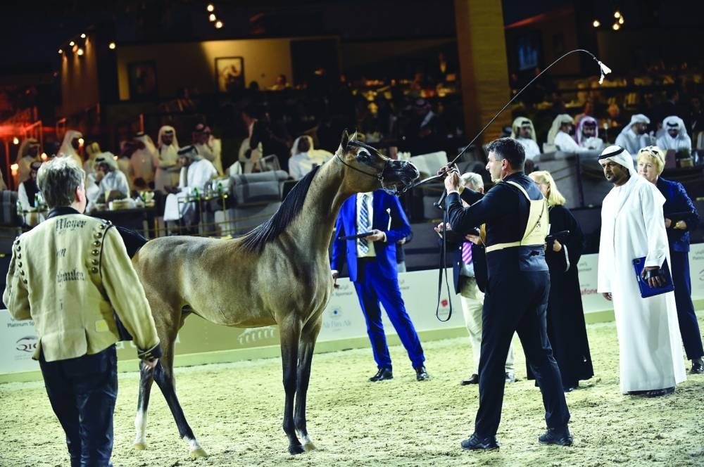  Glimpses from KIAHF-2023 Wednesday