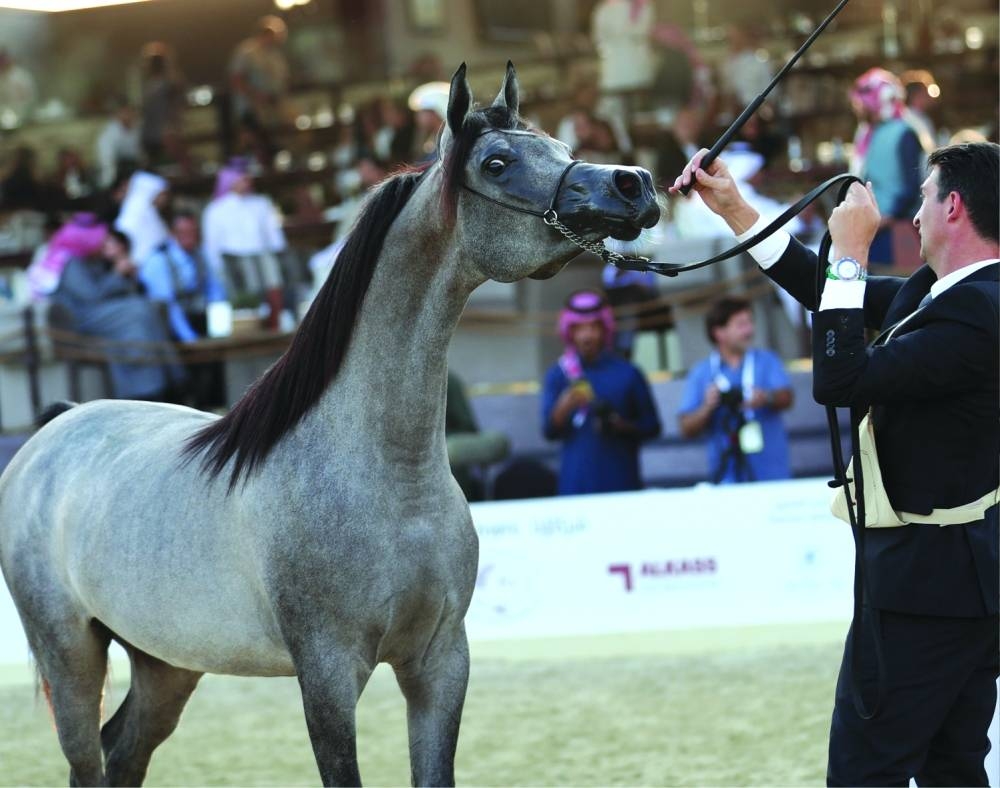  Glimpses from KIAHF-2023 Wednesday