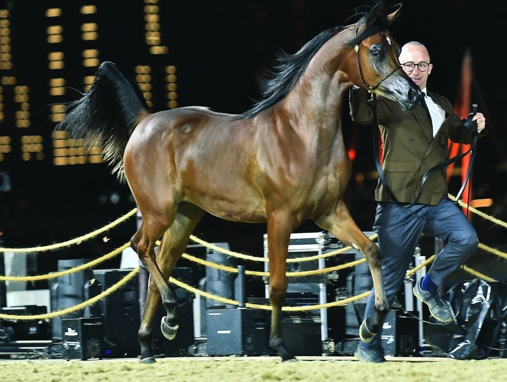  Glimpses from KIAHF-2023 Wednesday