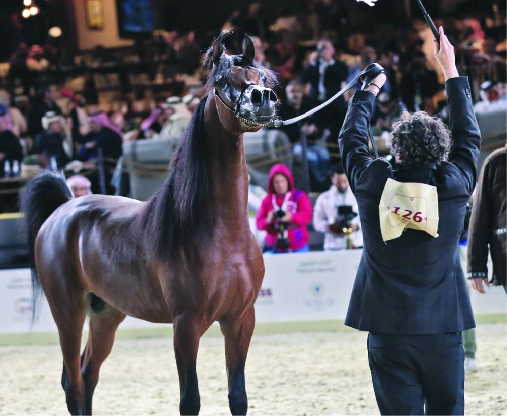 Lehon won the first place in the Colts 3 Years Old (Class 6) category.