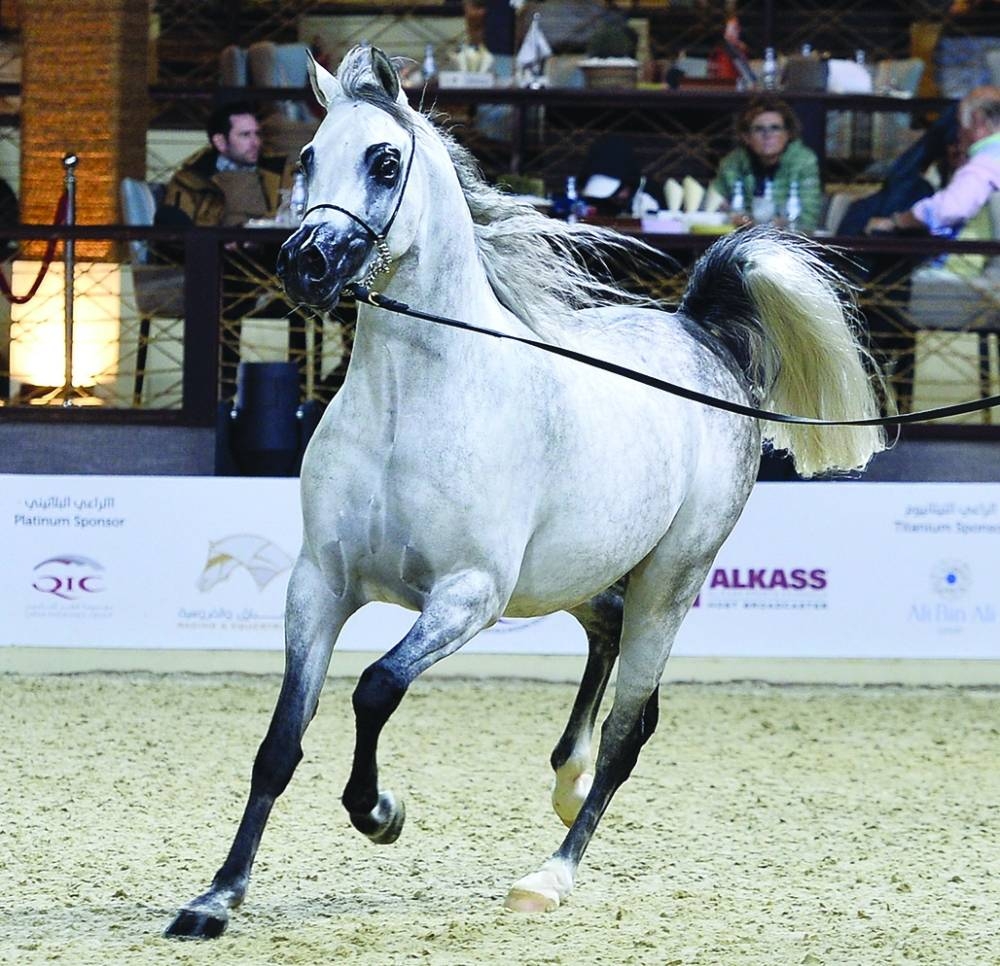 PICTURE: Shaji Kayamkulam