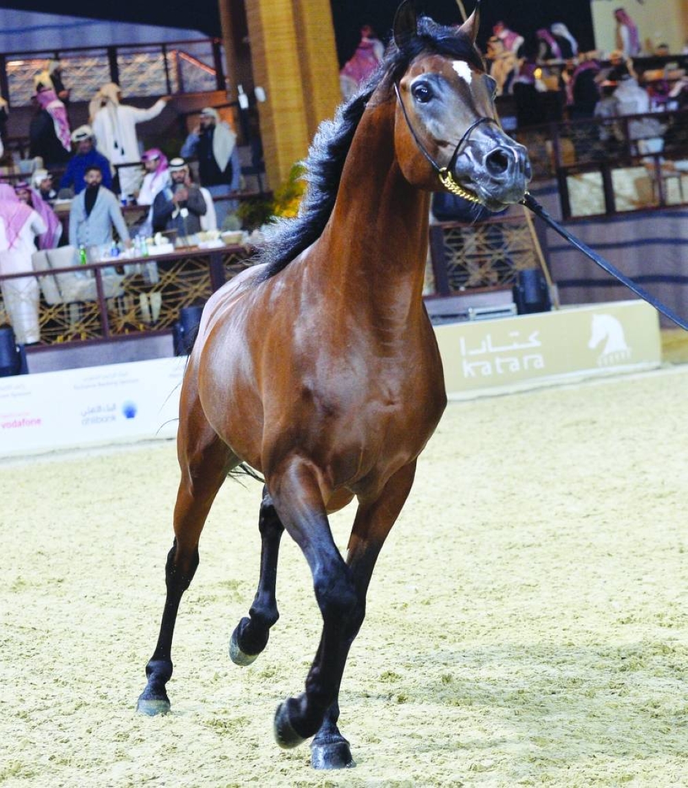 PICTURE: Shaji Kayamkulam