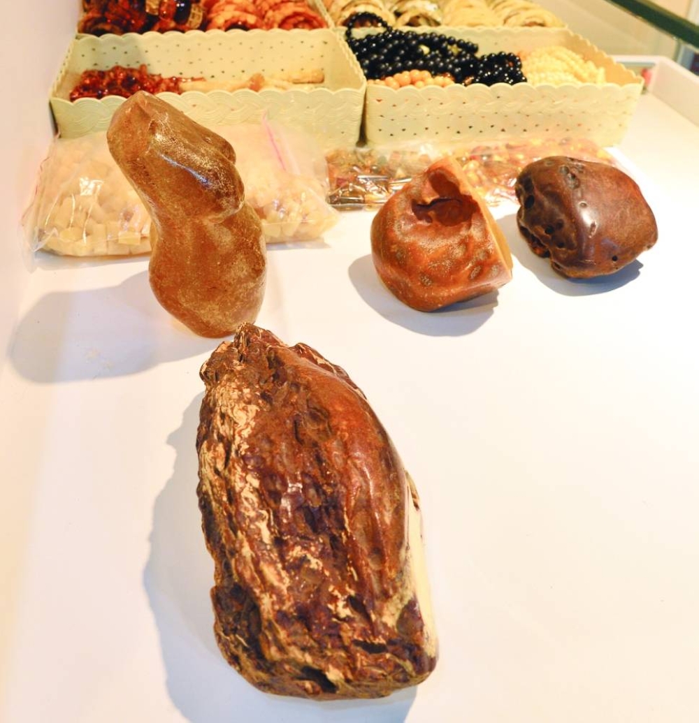 PICTURE: Shaji Kayamkulam