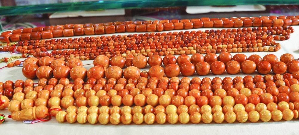 PICTURE: Shaji Kayamkulam