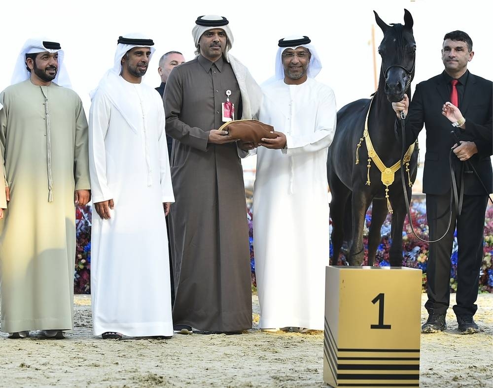 Snapshots from the concluding day of KIAHF-2023. PICTURES: Thajudheen and supplied