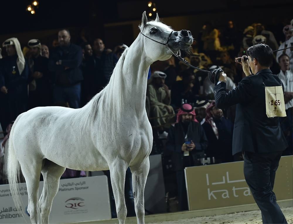 Snapshots from the concluding day of KIAHF-2023. PICTURES: Thajudheen and supplied