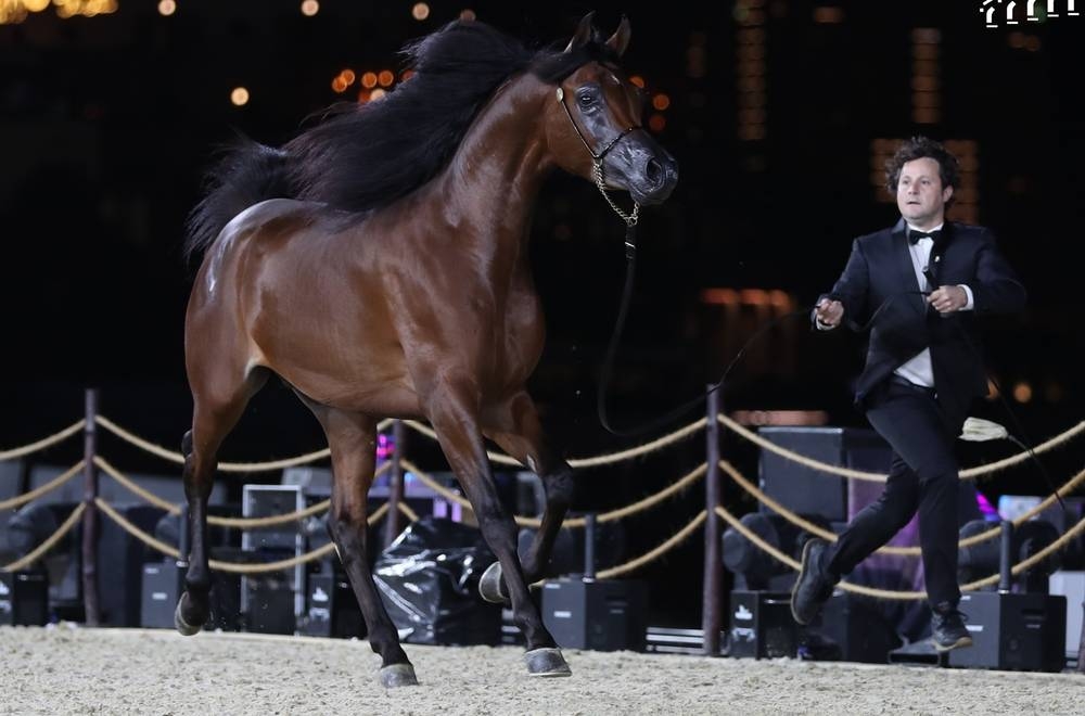 Snapshots from the concluding day of KIAHF-2023. PICTURES: Thajudheen and supplied