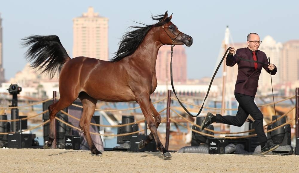 Snapshots from the concluding day of KIAHF-2023. PICTURES: Thajudheen and supplied