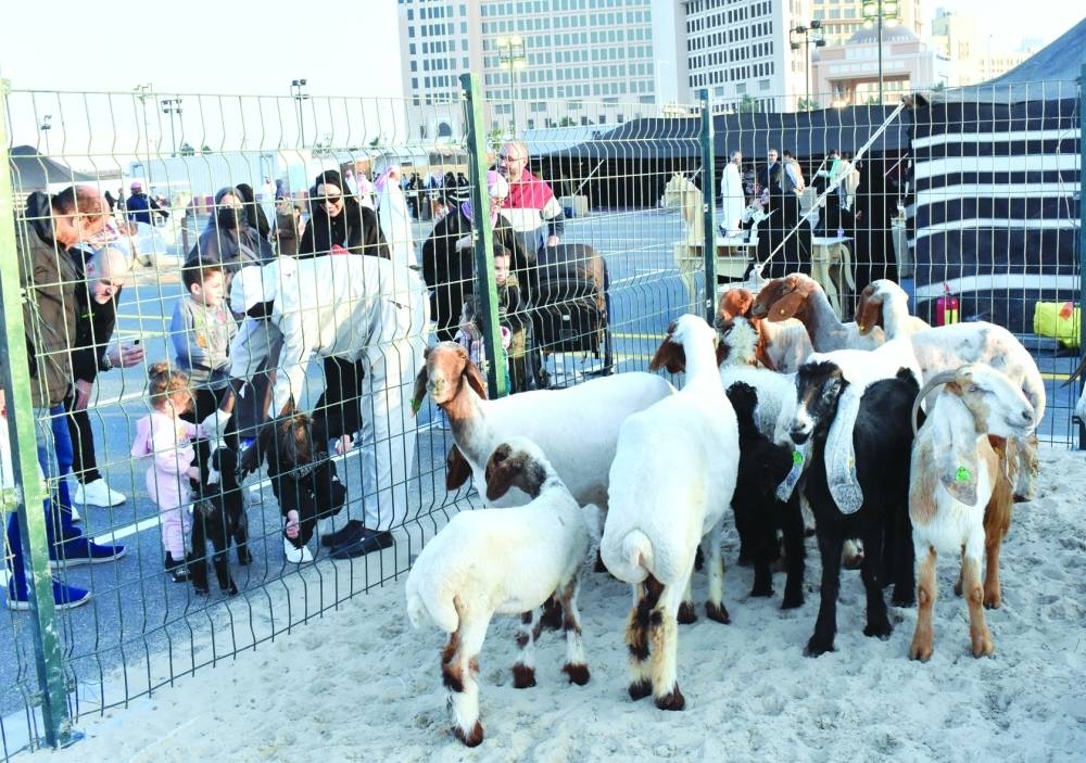 The 11th edition of Halal Qatar Festival showcases an integral part of the local heritage and tradition. PICTURES: Thajudheen and supplied
