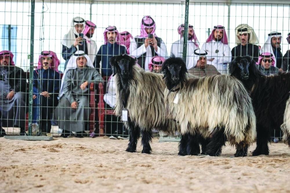 Glimpses from Halal Qatar Festival