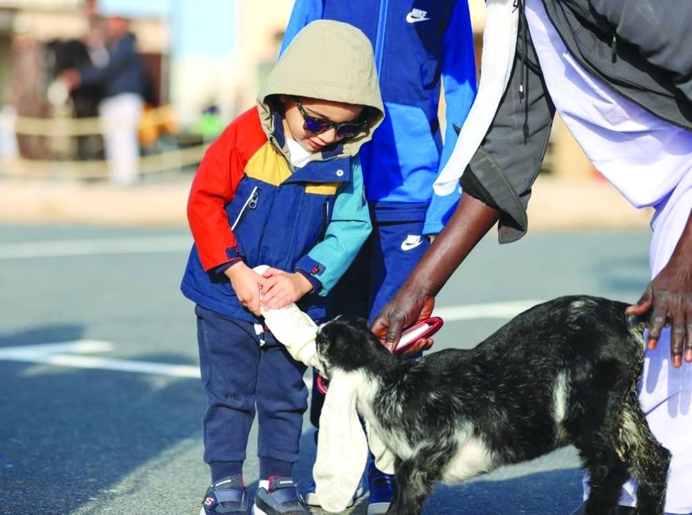 Glimpses from Halal Qatar Festival