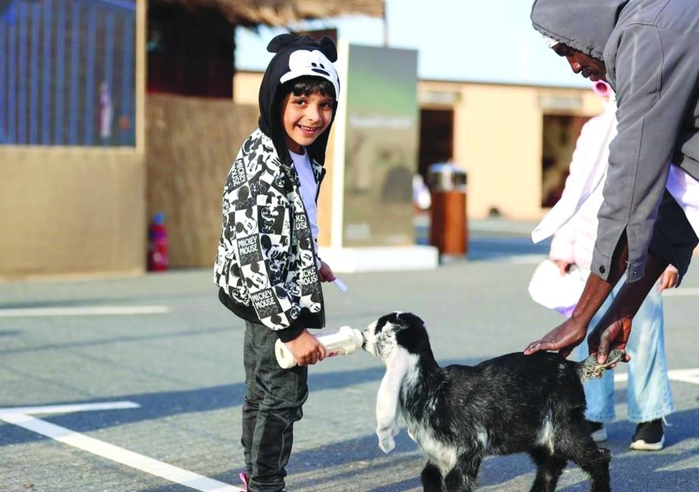 Glimpses from Halal Qatar Festival