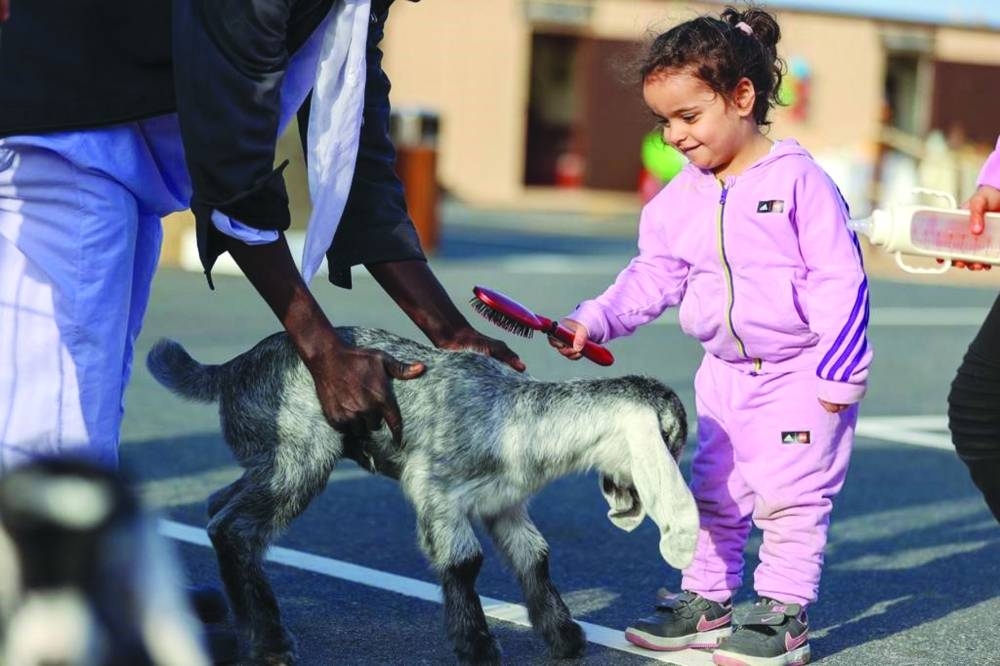 Glimpses from Halal Qatar Festival