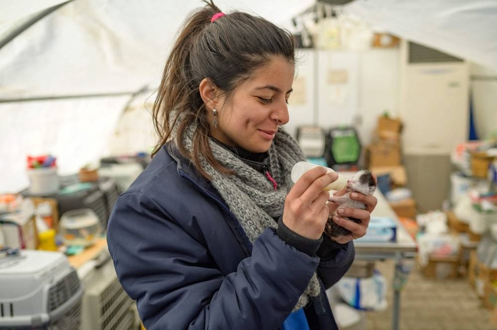 Petek Nur Sezer, a volunteer for the local NGO Haytap, feeds a kitten in Antakya, south of Turkey, where many animals are trapped in the rubbles after the February 6th earthquake, on February 18. AFP