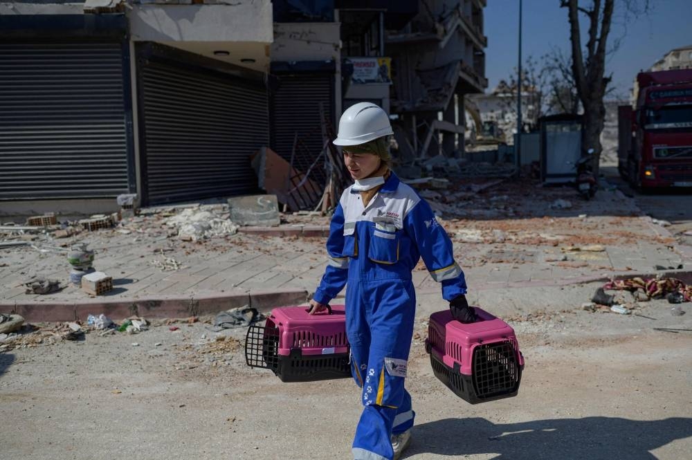 volunteer for the local NGO Haytap carries two cages in order to catch cats in Antakya, south of Turkey, where many animals are trapped in the rubbles after the February 6th earthquake, on February 18. AFP