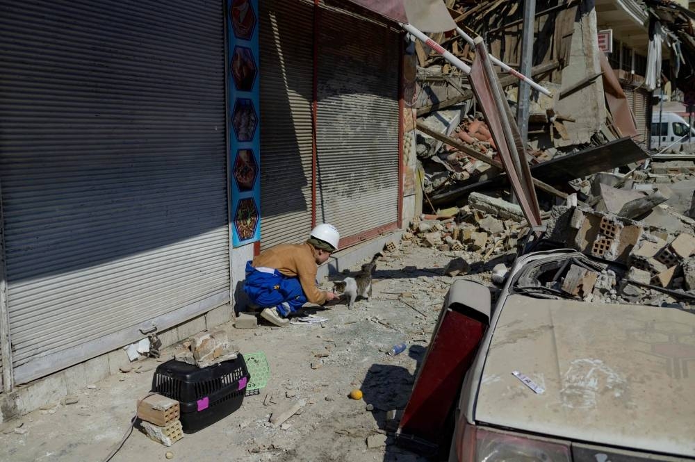 A volunteer for the local NGO Haytap tries to lure a cat into a cage in Antakya, south of Turkey, where many animals are trapped in the rubbles after the February 6th earthquake, on February 18. AFP